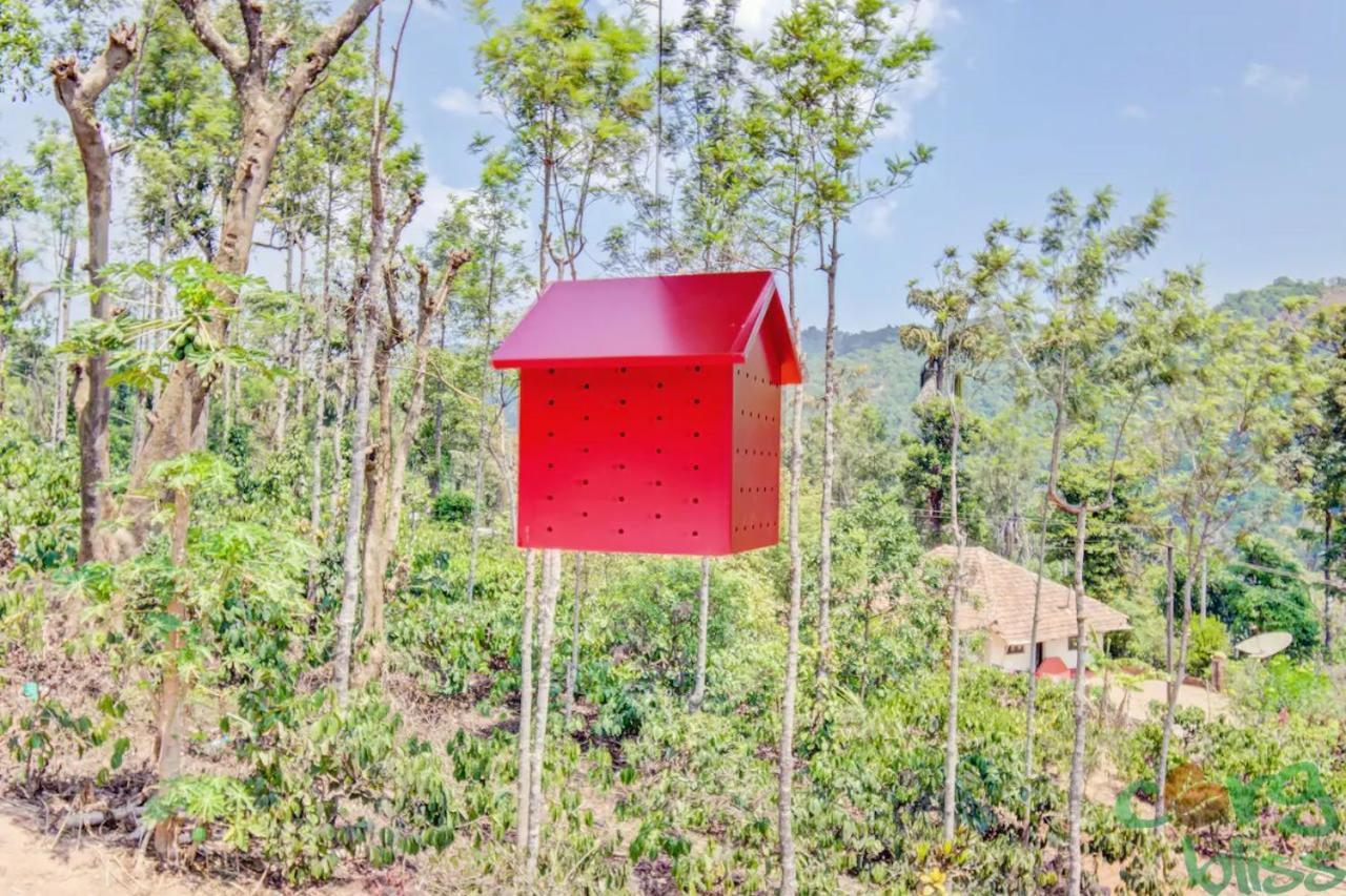 Wanders In Travel Company Hotell Madikeri Eksteriør bilde
