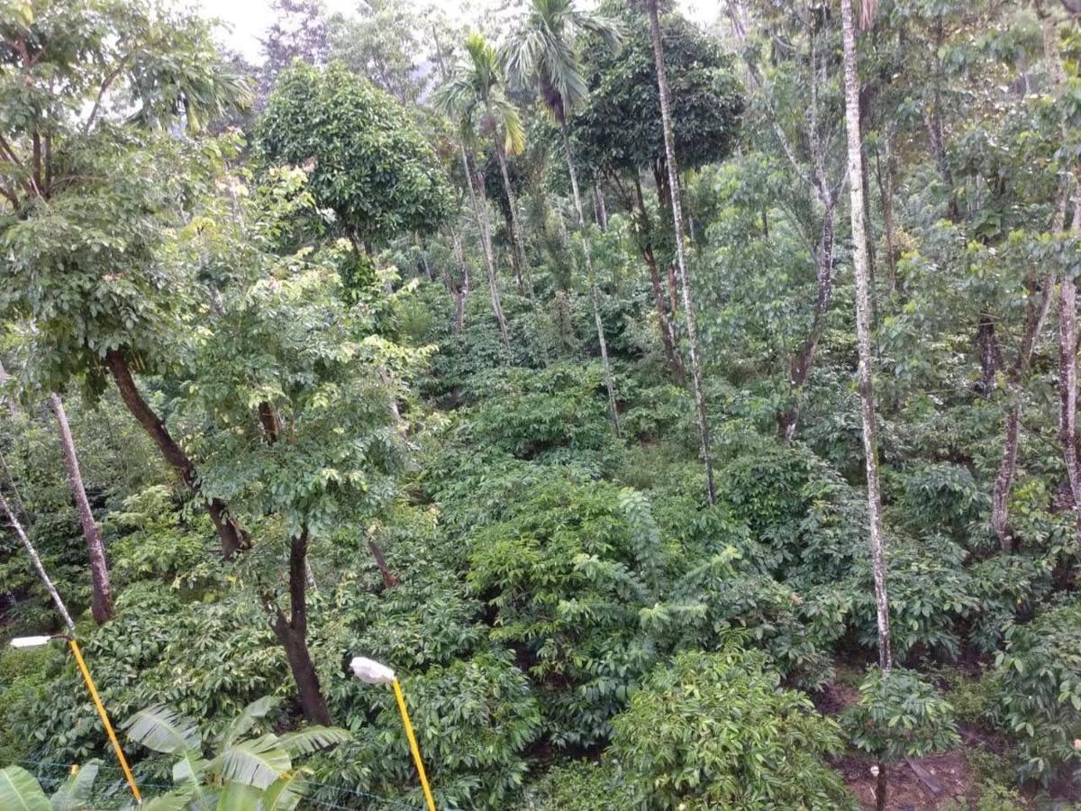 Wanders In Travel Company Hotell Madikeri Eksteriør bilde