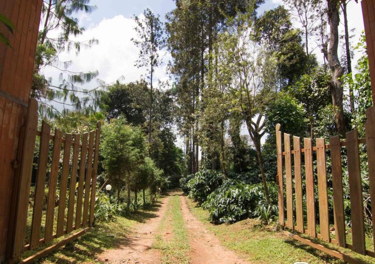 Wanders In Travel Company Hotell Madikeri Eksteriør bilde