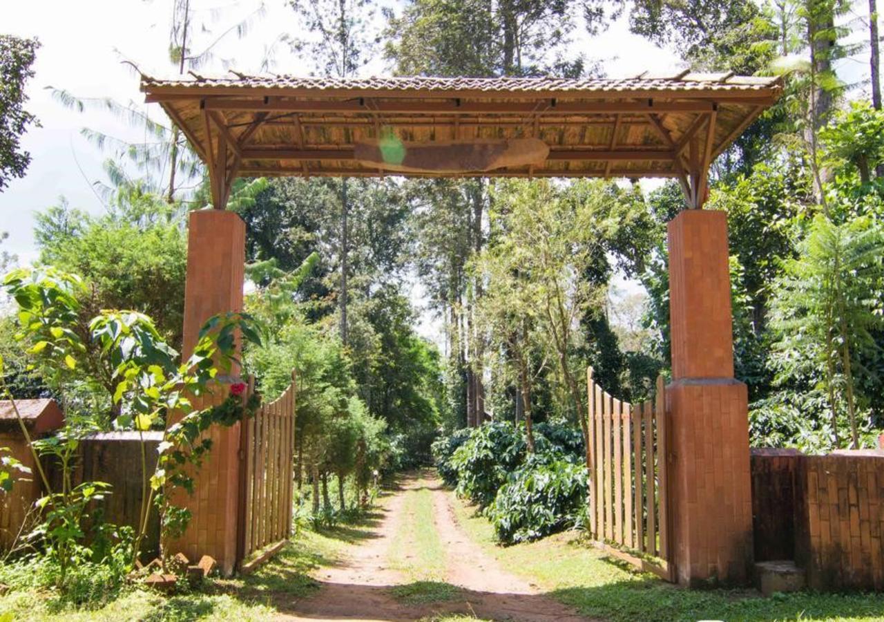 Wanders In Travel Company Hotell Madikeri Eksteriør bilde